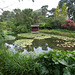 View of the lower lake at Burnby