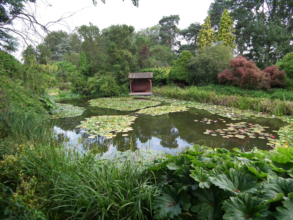 View of the lower lake at Burnby