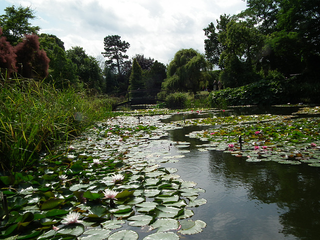 Lower lake at Burnby