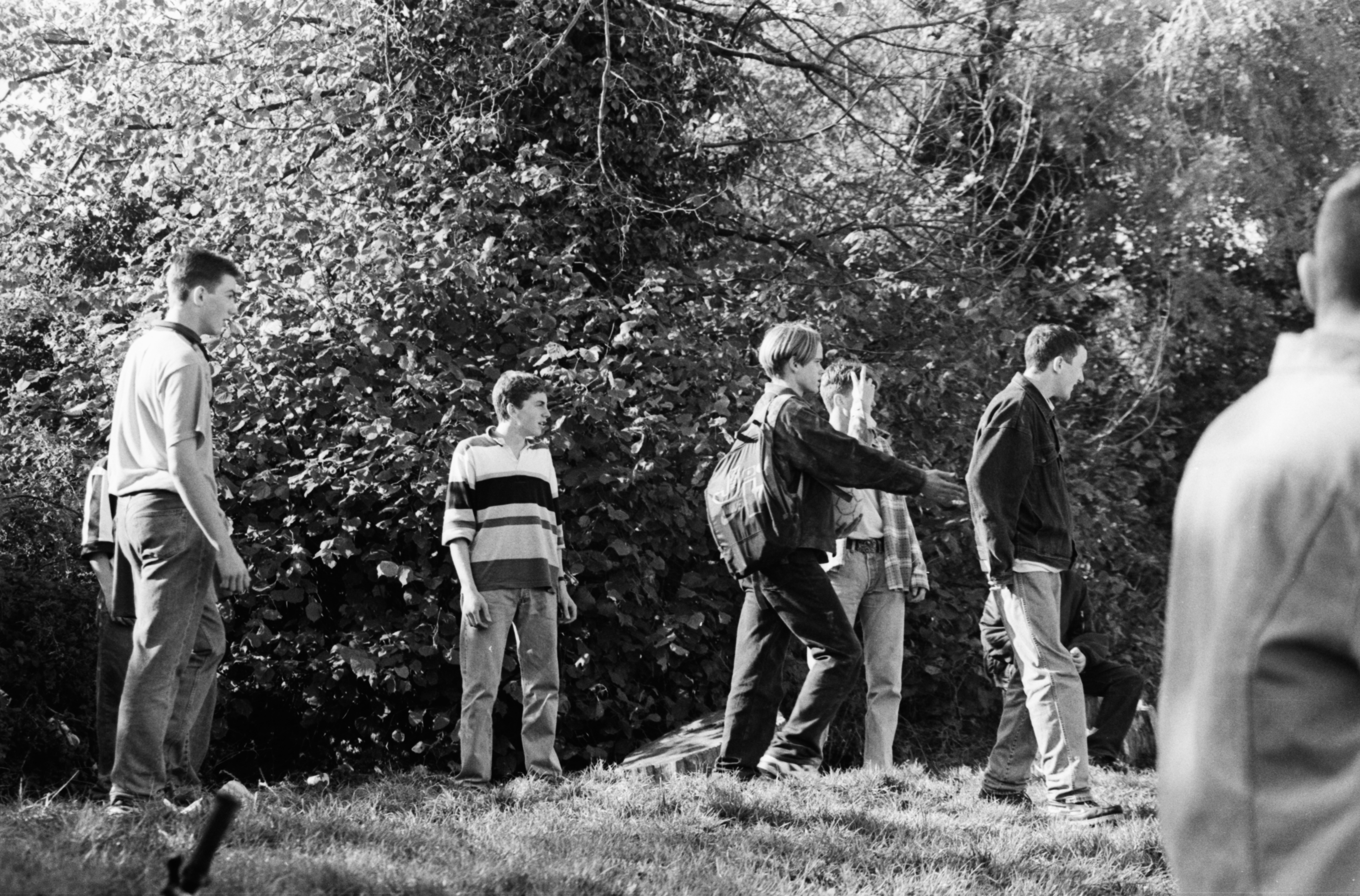 Newpark, October 1994