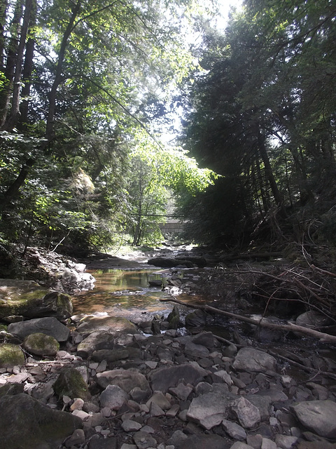 Ruisseau rocheux / Rocky stream.