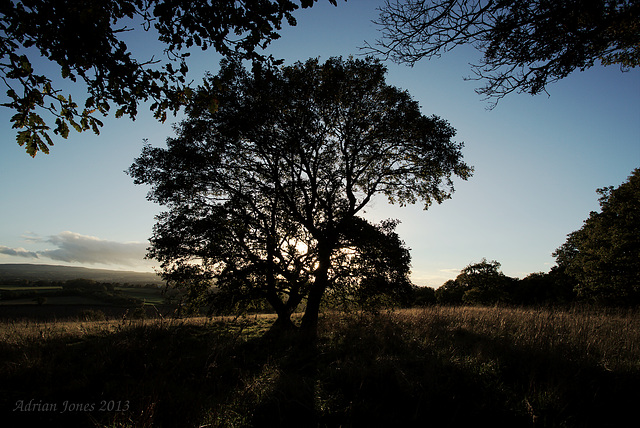 Lyth Hill Sunset