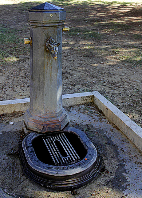 Fontaine siennoise