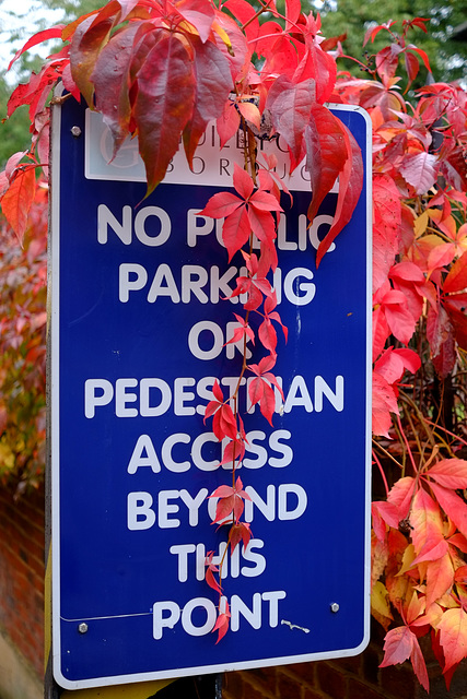 Signs of Autumn X-E1