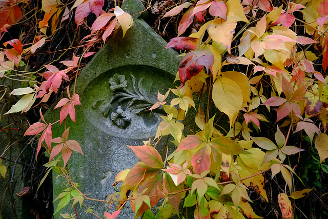 Autumn Graveyard  X-E1 2