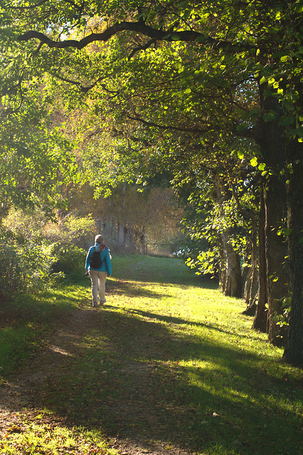 Green autumn