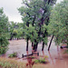 Flood, Sept. 12, Boulder Creek at Hwy 287