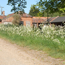 High Wood Farm, Reydon, Suffolk 335