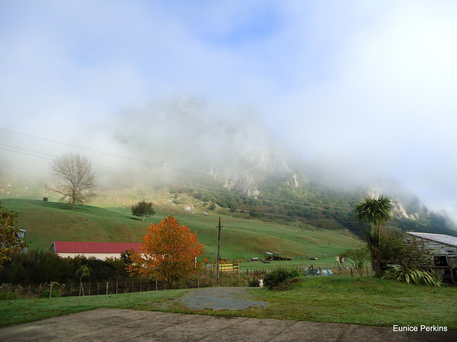 Mist around hill at Lake Whakamaru