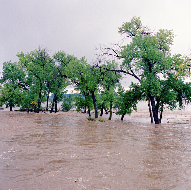 Flood, Sept. 12, Boulder Creek at Hwy 287