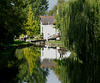 Canal Reflections