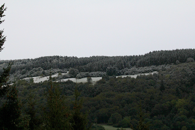 gelée blanche