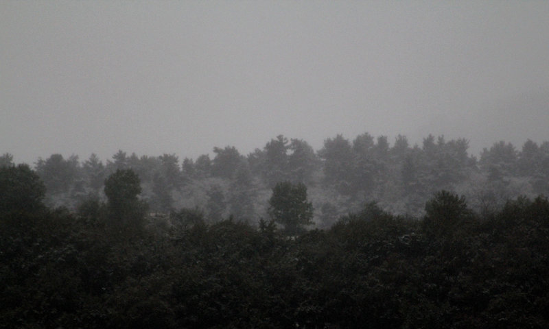 Première neige