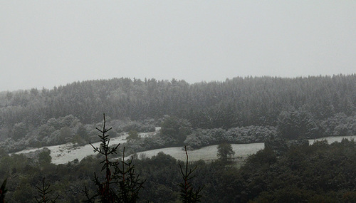 12 octobre- 1ere neige