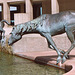 Mustangs Statue