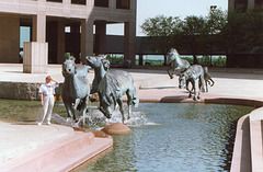 Mustangs Statue in Dallas