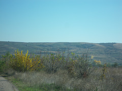 Les collines en arrière de la plaine danubienne