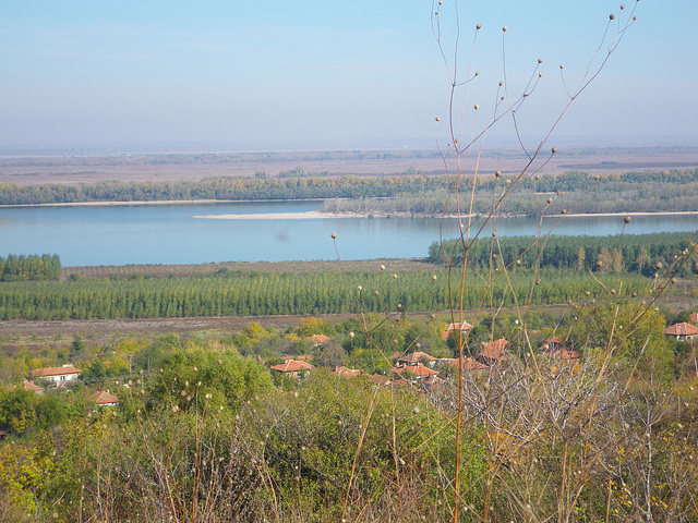 Le Danube à hauteur de Gorni Tchibar 2