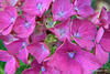 Macro Extension Tube Series