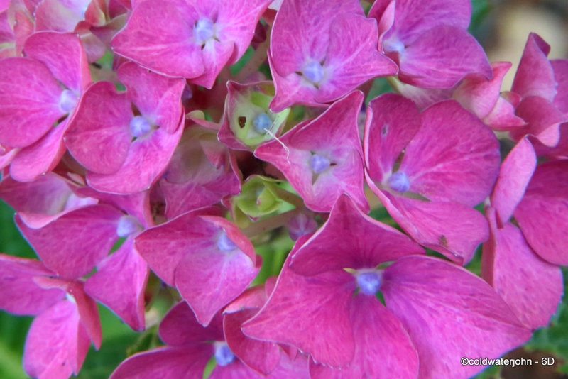 Macro Extension Tube Series