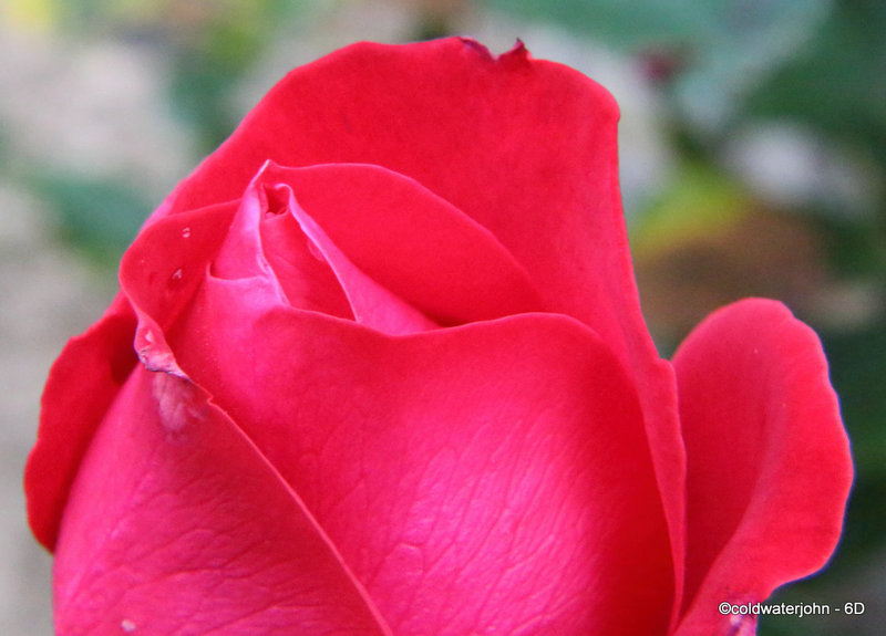 Macro Extension Tube Series