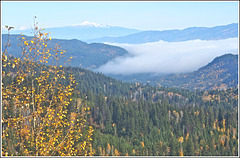 Near Little Fort, BC