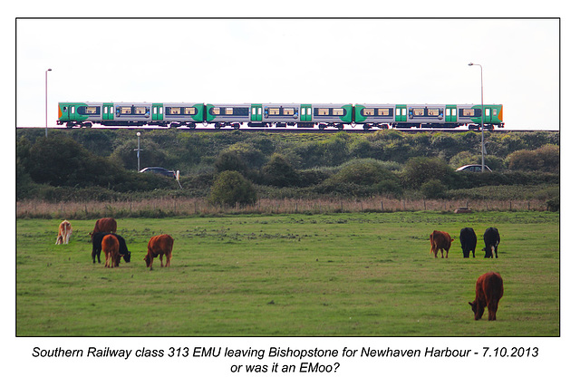 Southern 313 - Bishopstone - 7.10.2013