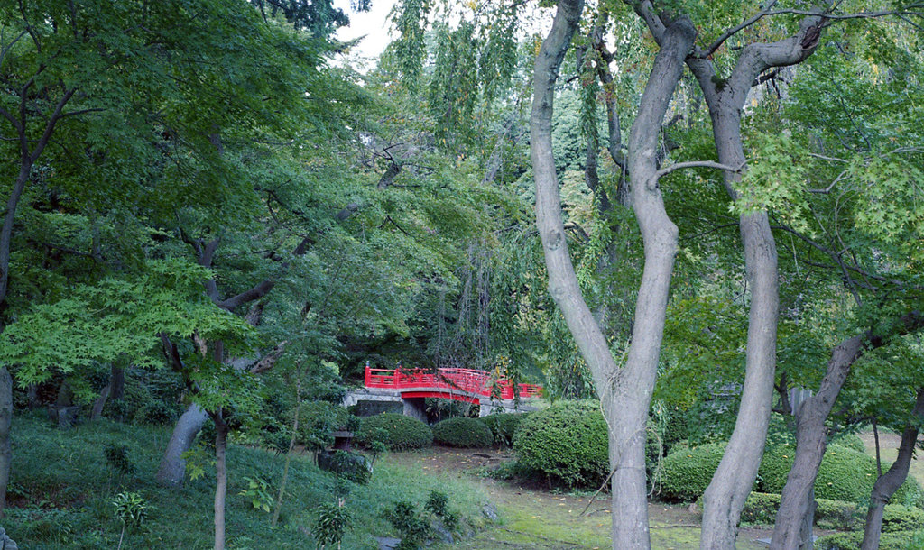 Red bridge