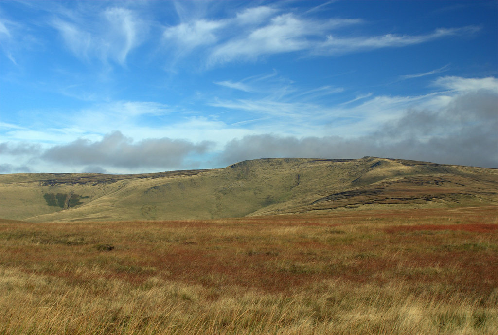 Shelf Stones from Snake Summit