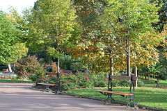 Bancs publics sans amoureux- magnolias