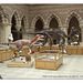 Dinosaurs - The Natural History Museum - Oxford - 4.8.2005