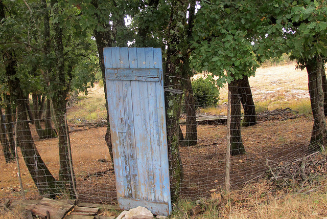 Récupération... (Gard, France)