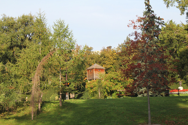 Environs du bassin (5)