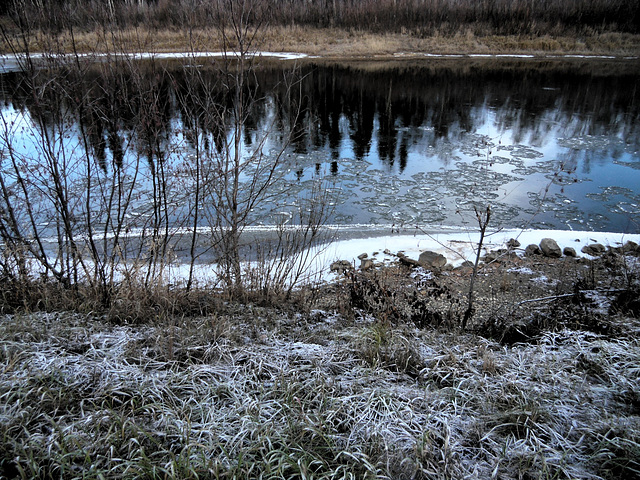 Ice on the Chena