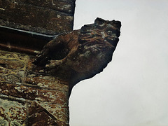 whitchurch canonicorum, dorset