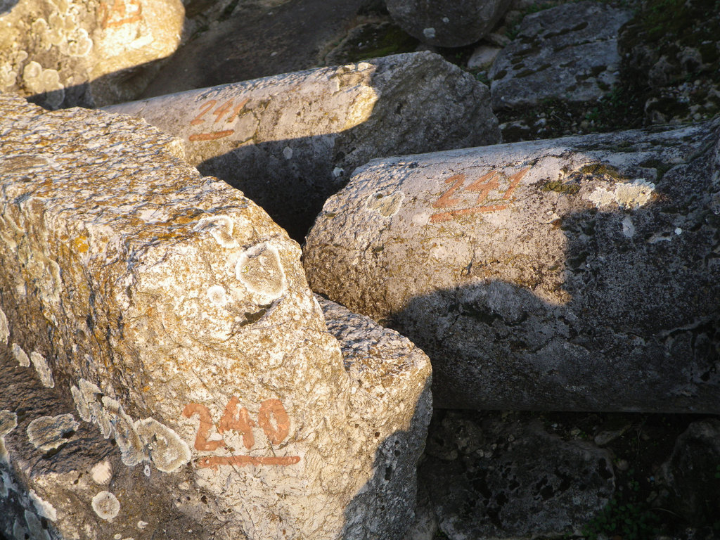 Colonnes numérotées.