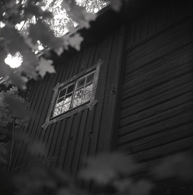The window