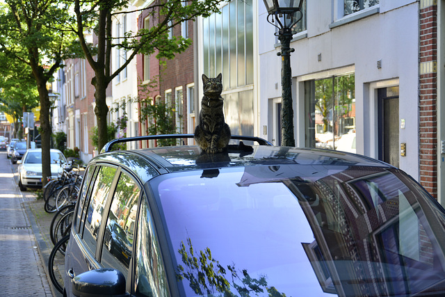 The cat sat on the car