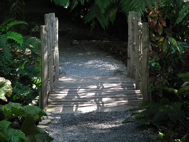 Wooden bridge