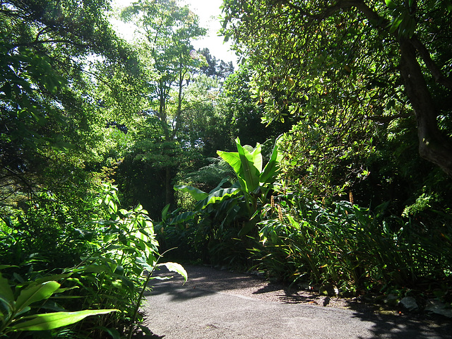 Path winding down to the viewpont