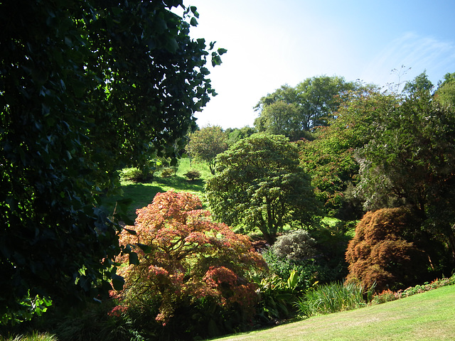 Looking down to the stream