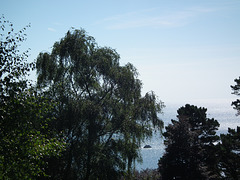 View out to sea