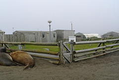 The meteorological enclosure