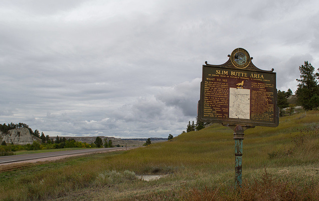 Slim Buttes, SD (0378)