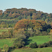 Wimberry Hill and Mouselow