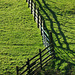 Farm fencing