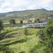 201001BorderRangesRail25Jan 002