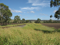 201001BorderRangesRail25Jan 015