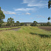 201001BorderRangesRail25Jan 015