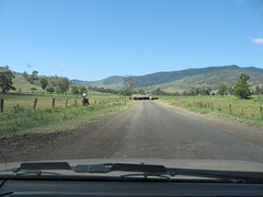 201001BorderRangesRail25Jan 018